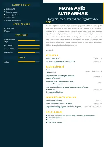 Matematik Öğretmeni Cv Örnekleri cv indir